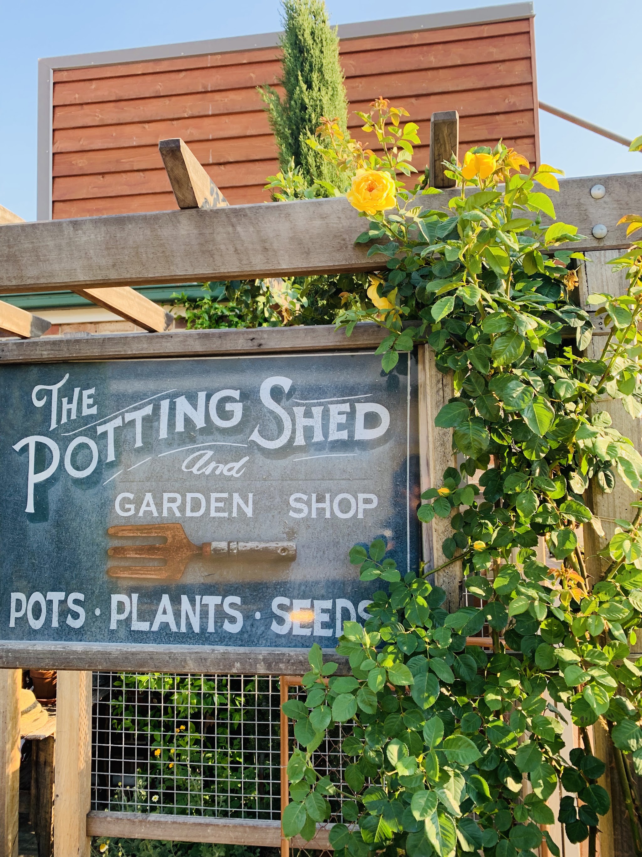 The Potting Shed and Garden Shop painted sign framed by yellow climbing roses